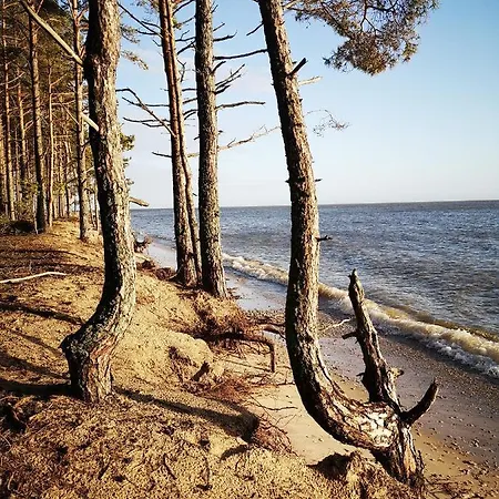 Pihlaka Kodumajutus Linaküla
