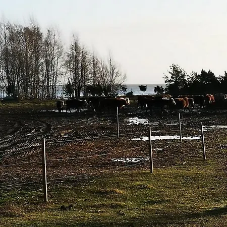 Frühstückspension Pihlaka Kodumajutus Linaküla
