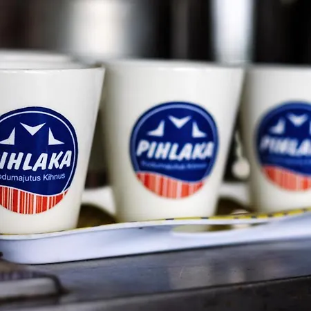 Pihlaka Kodumajutus Frühstückspension *